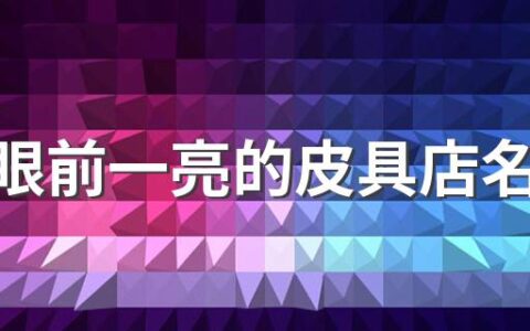 让人眼前一亮的皮具店名字300个 吸引人的皮具店名