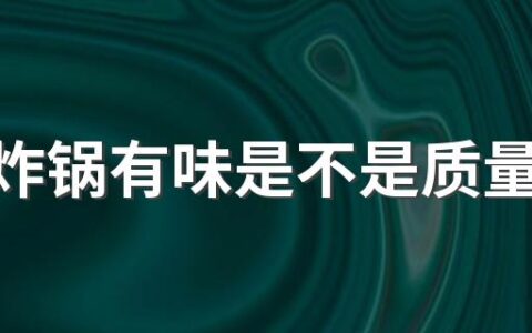 空气炸锅有味是不是质量不行 空气炸锅间隔多长时间再炸第二次