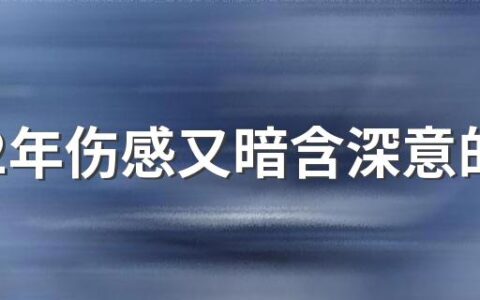 2022年伤感又暗含深意的网名410个