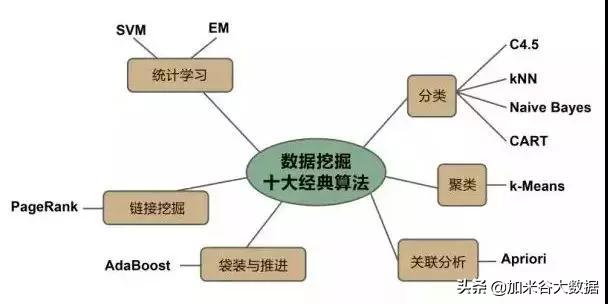 什么是数据挖掘？数据挖掘的一般过程是怎样的？