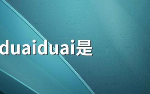 duaiduaiduai是什么意思含义介绍