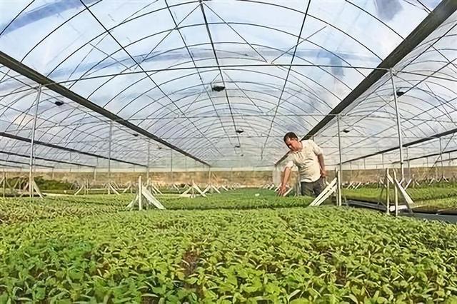 食品技术投资超过农业技术投资；分析：水果行业正迎来红利期