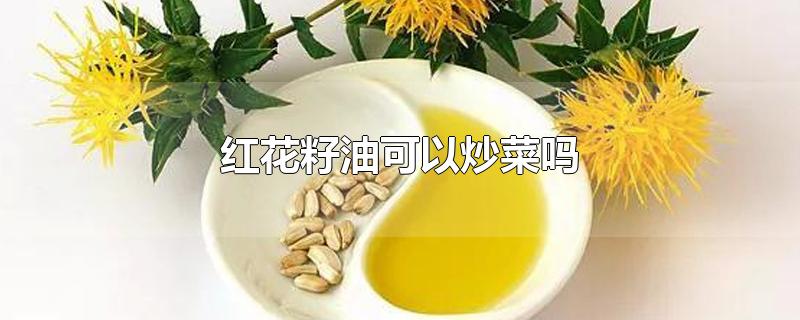 红花籽油可以炒菜吗