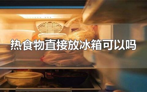 热食物直接放冰箱可以吗