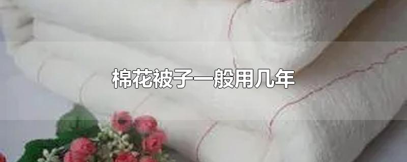 棉花被子一般用几年