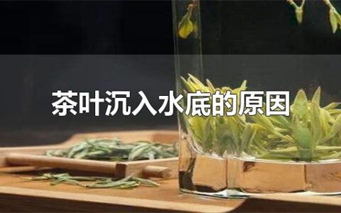 茶叶沉入水底的原因