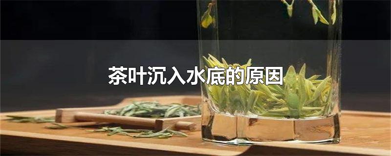 茶叶沉入水底的原因