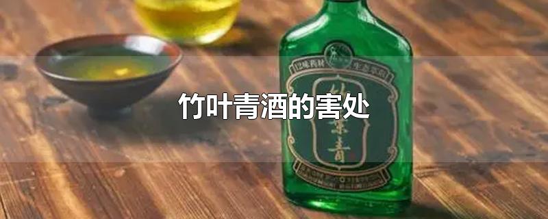 竹叶青酒的害处