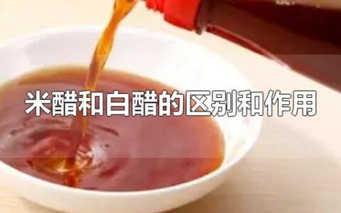 米醋和白醋的区别和作用