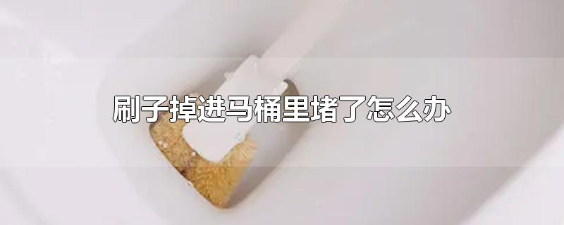 刷子掉进马桶里堵了怎么办