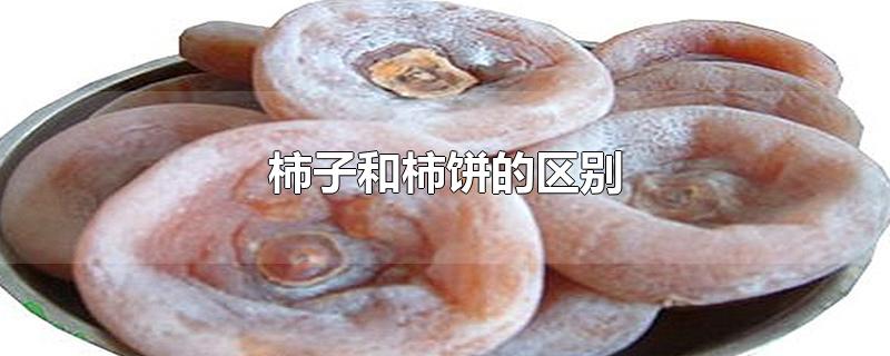 柿子和柿饼的区别