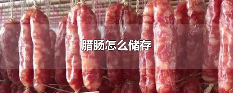 腊肠怎么储存