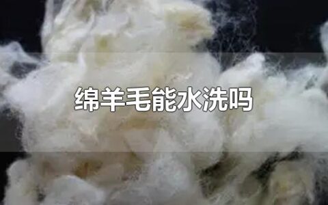 绵羊毛能水洗吗