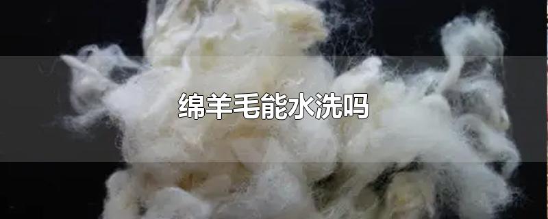 绵羊毛能水洗吗