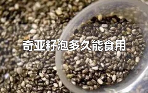 奇亚籽泡多久能食用