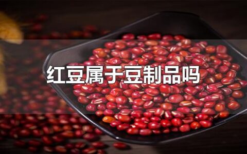 红豆属于豆制品吗