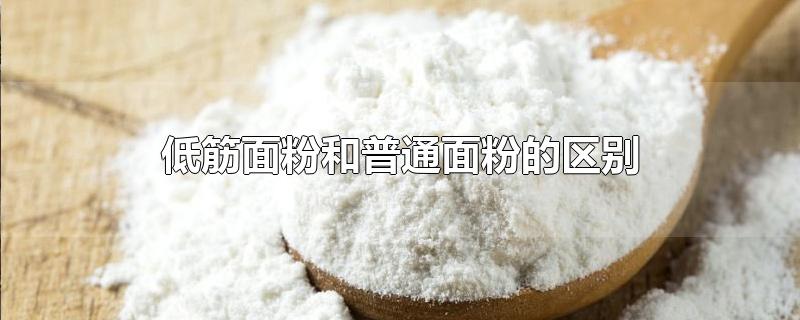 低筋面粉和普通面粉的区别