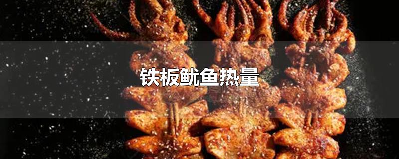 铁板鱿鱼热量