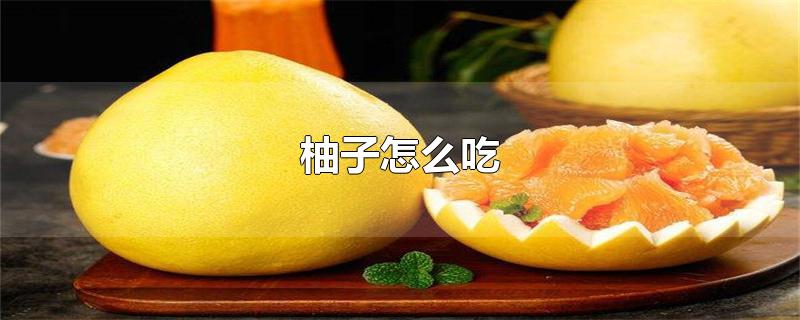 柚子怎么吃