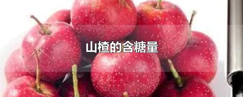 山楂的含糖量