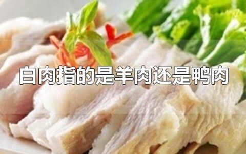 白肉指的是羊肉还是鸭肉