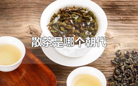 散茶是哪个朝代