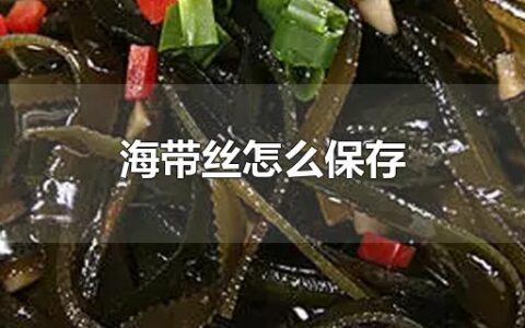 海带丝怎么保存