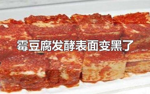 霉豆腐发酵表面变黑了