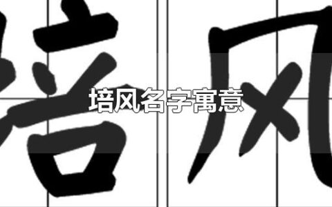 培风名字寓意