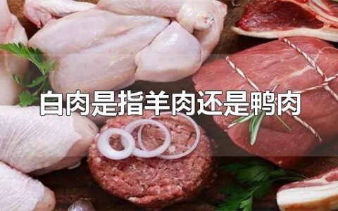 白肉是指羊肉还是鸭肉