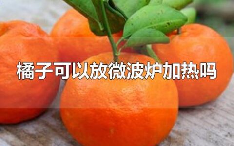 橘子可以放微波炉加热吗