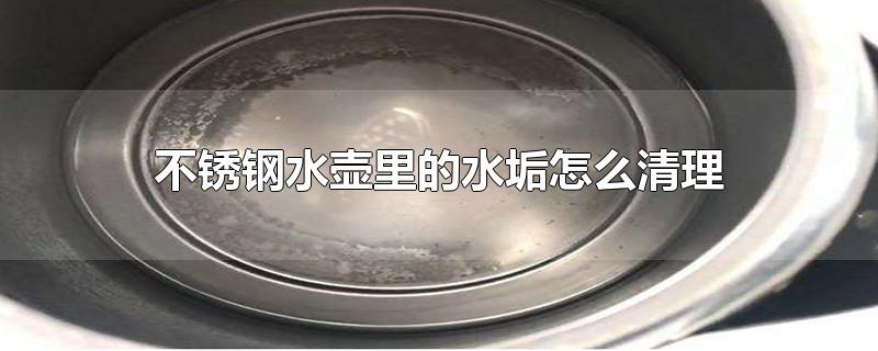 不锈钢水壶里的水垢怎么清理