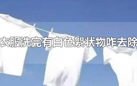 衣服洗完有白色絮状物咋去除