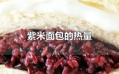 紫米面包的热量