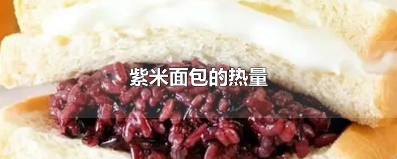 紫米面包的热量