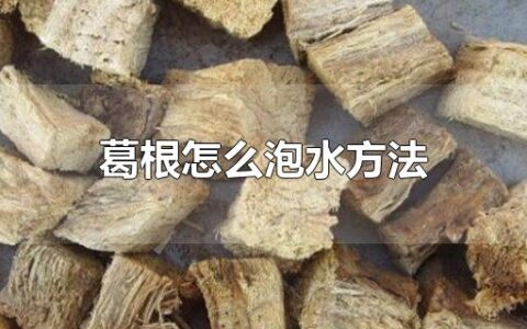 葛根怎么泡水方法