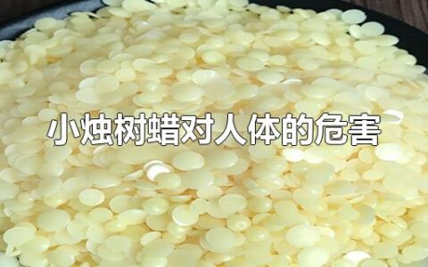 小烛树蜡对人体的危害