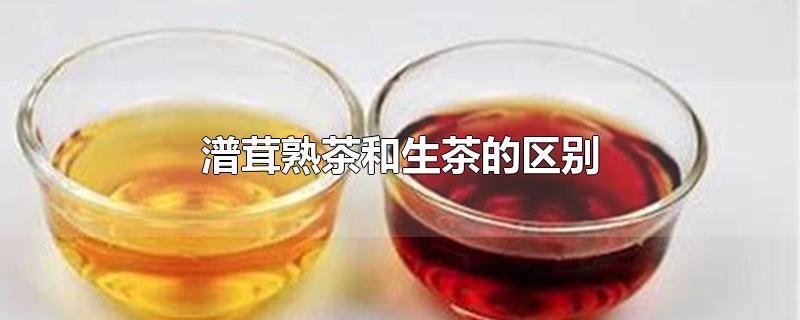 潽茸熟茶和生茶的区别