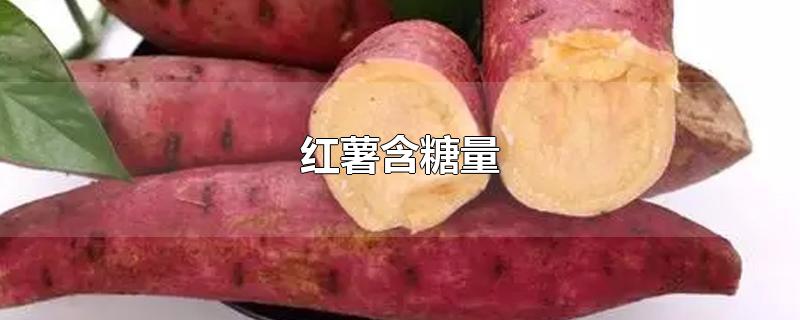 红薯含糖量