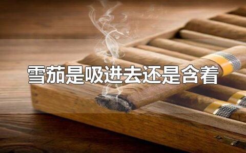 雪茄是吸进去还是含着