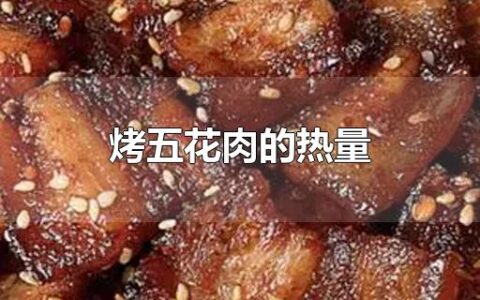 烤五花肉的热量