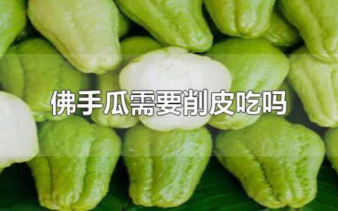 佛手瓜需要削皮吃吗