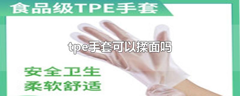 tpe手套可以揉面吗