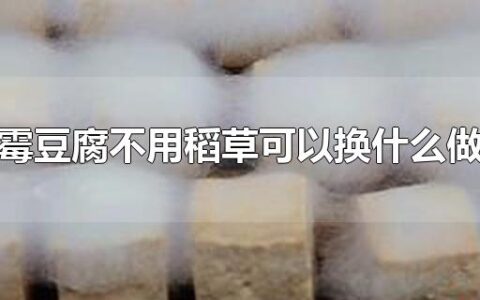 霉豆腐不用稻草可以换什么做