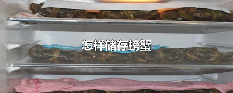 怎样储存螃蟹