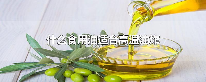 什么食用油适合高温油炸